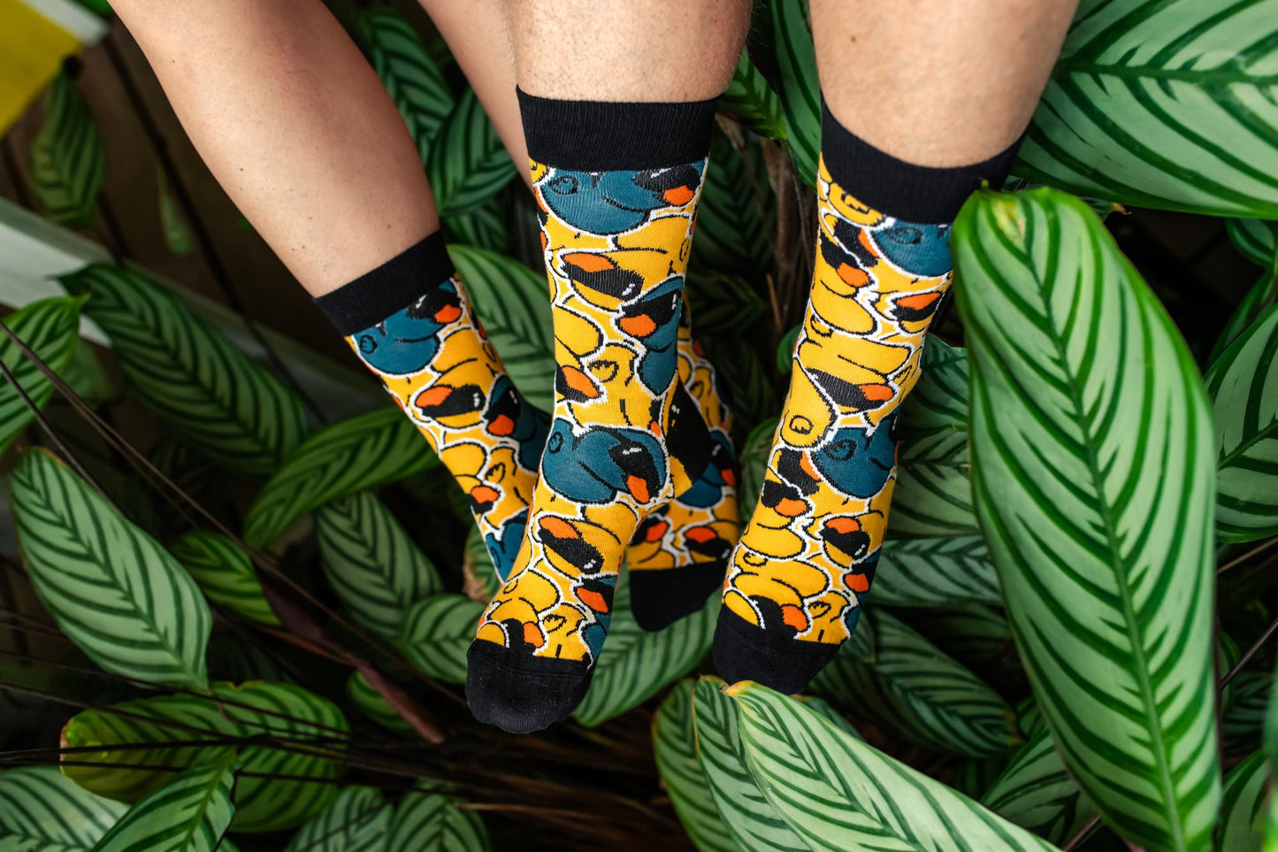 Chaussettes Tintl Ducky