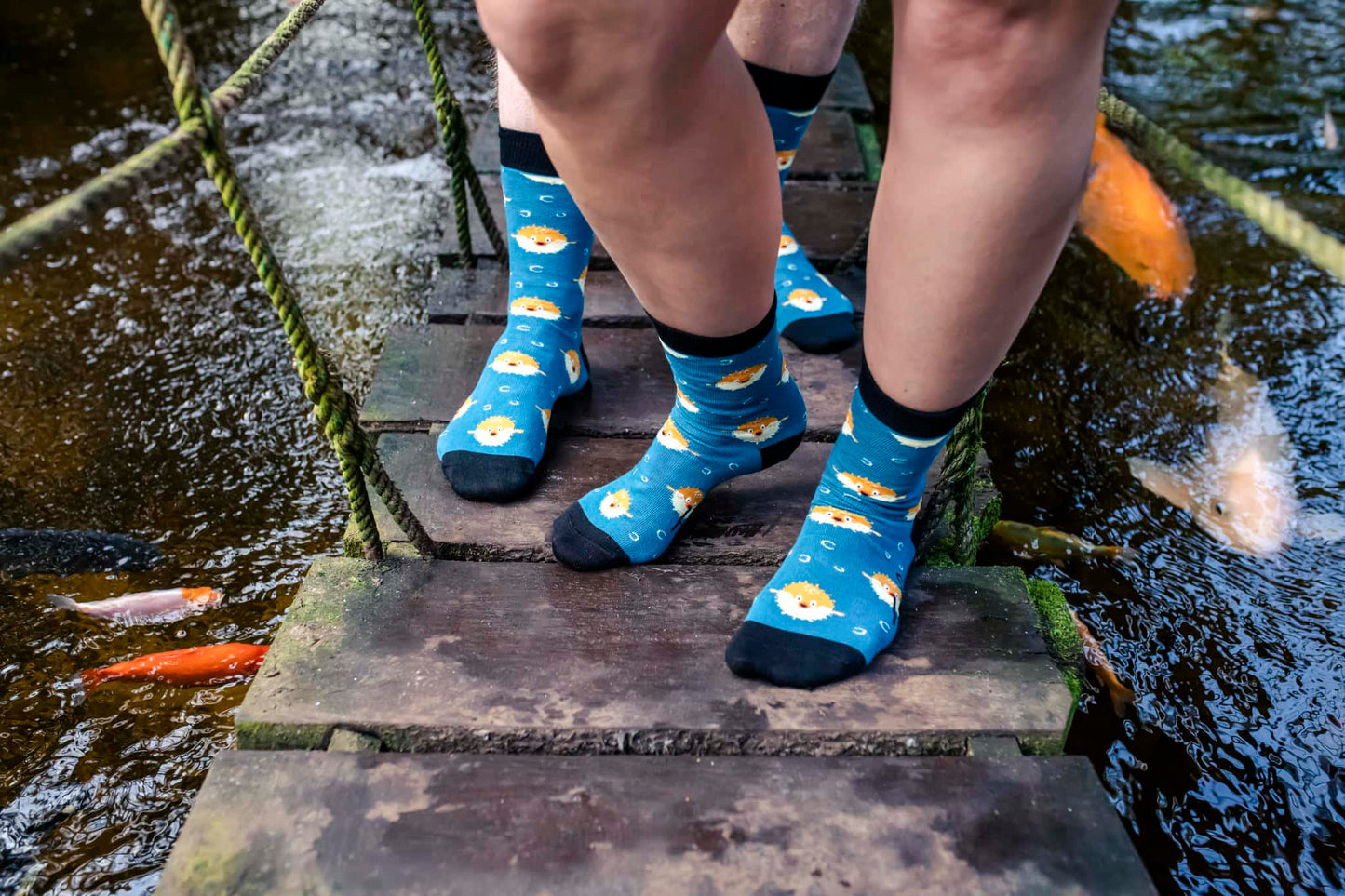Chaussettes Tintl Pufferfish