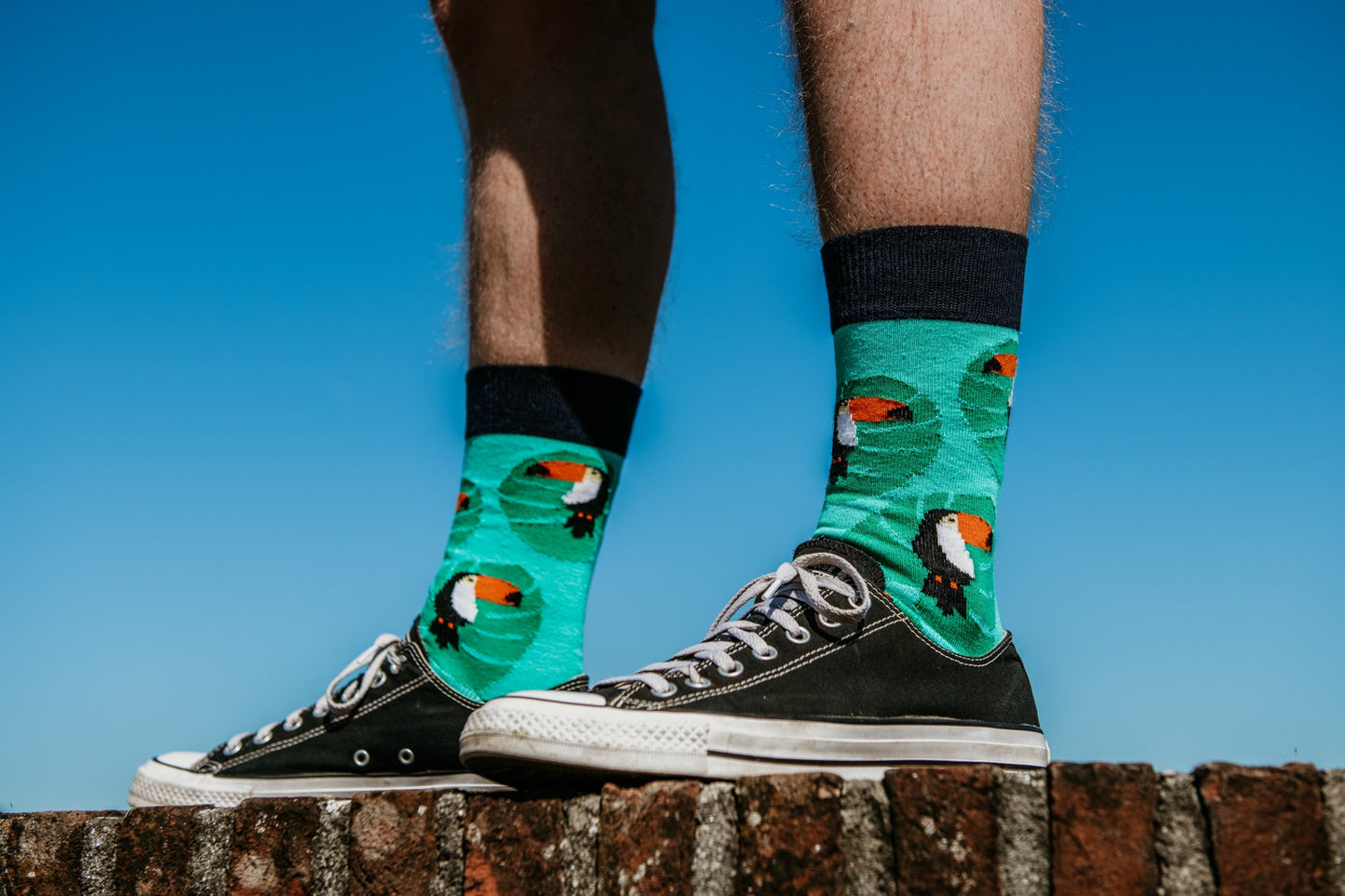 Chaussettes Tintl Toucan