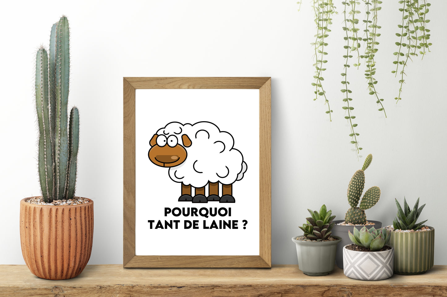 Pourquoi tant de laine