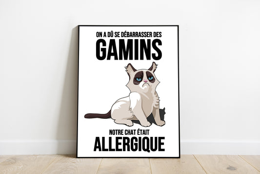 Chat allergique